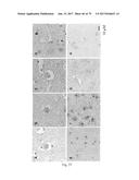 HUMAN-DERIVED ANTI-HUNTINGTIN (HTT) ANTIBODIES AND USES THEREOF diagram and image