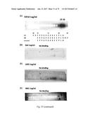 HUMAN-DERIVED ANTI-HUNTINGTIN (HTT) ANTIBODIES AND USES THEREOF diagram and image