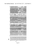 HUMAN-DERIVED ANTI-HUNTINGTIN (HTT) ANTIBODIES AND USES THEREOF diagram and image