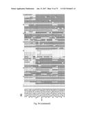 HUMAN-DERIVED ANTI-HUNTINGTIN (HTT) ANTIBODIES AND USES THEREOF diagram and image