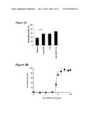 CD89 ACTIVATION IN THERAPY diagram and image