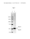 ANTIBODY VARIANTS COMPOSITION diagram and image