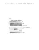 DUAL CONTROLS FOR THERAPEUTIC CELL ACTIVATION OR ELIMINATION diagram and image