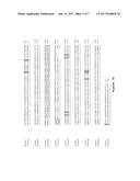 COMPOSITIONS OF ADENOSINE DEAMINASE-2 (ADA2), VARIANTS THEREOF AND METHODS     OF USING SAME diagram and image