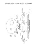 COMPOSITIONS OF ADENOSINE DEAMINASE-2 (ADA2), VARIANTS THEREOF AND METHODS     OF USING SAME diagram and image