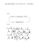 METHOD FOR PRODUCING VECTOR IN WHICH FOREIGN GENE HAS BEEN INTRODUCED diagram and image