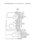 NOVEL INSECTICIDAL PROTEINS FROM PLANTS diagram and image