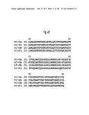 NOVEL INSECTICIDAL PROTEINS FROM PLANTS diagram and image