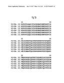 NOVEL INSECTICIDAL PROTEINS FROM PLANTS diagram and image