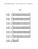 NOVEL INSECTICIDAL PROTEINS FROM PLANTS diagram and image