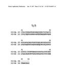 NOVEL INSECTICIDAL PROTEINS FROM PLANTS diagram and image