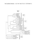 NOVEL INSECTICIDAL PROTEINS FROM PLANTS diagram and image