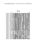 NOVEL INSECTICIDAL PROTEINS FROM PLANTS diagram and image