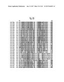 NOVEL INSECTICIDAL PROTEINS FROM PLANTS diagram and image