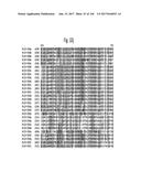 NOVEL INSECTICIDAL PROTEINS FROM PLANTS diagram and image