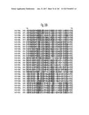 NOVEL INSECTICIDAL PROTEINS FROM PLANTS diagram and image