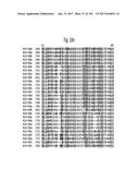 NOVEL INSECTICIDAL PROTEINS FROM PLANTS diagram and image