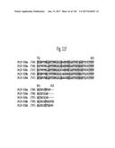 NOVEL INSECTICIDAL PROTEINS FROM PLANTS diagram and image