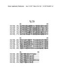 NOVEL INSECTICIDAL PROTEINS FROM PLANTS diagram and image