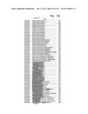 NOVEL INSECTICIDAL PROTEINS FROM PLANTS diagram and image