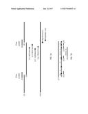 COTTON TRANSGENIC EVENT MON 88702 AND METHODS FOR DETECTION AND USES     THEREOF diagram and image