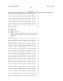 COTTON TRANSGENIC EVENT MON 88702 AND METHODS FOR DETECTION AND USES     THEREOF diagram and image