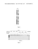 Composition and Method for Stabilizing Nucleic Acids in Biological Samples diagram and image