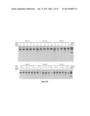 Composition and Method for Stabilizing Nucleic Acids in Biological Samples diagram and image