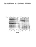 Composition and Method for Stabilizing Nucleic Acids in Biological Samples diagram and image