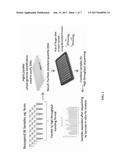 Methods for DNA Preparation for Multiplex High Throughput Targeted     Sequencing diagram and image