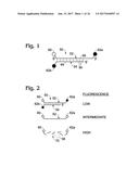 AMPLIFICATION REPORTER WITH BASE-PAIRING OLIGOMERS diagram and image