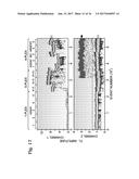 AMPLIFICATION REPORTER WITH BASE-PAIRING OLIGOMERS diagram and image