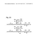 AMPLIFICATION REPORTER WITH BASE-PAIRING OLIGOMERS diagram and image