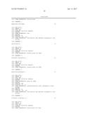 AMPLIFICATION REPORTER WITH BASE-PAIRING OLIGOMERS diagram and image