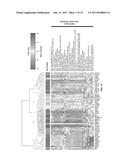 Methods and Systems for Predicting Response to Immunotherapies for     Treatment of Cancer diagram and image