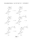 BINDING PARTNERS SPECIFIC FOR VITAMIN D EPIMERS IN VITAMIN D ASSAYS diagram and image