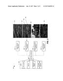 OBJECT SELECTION BASED ON REGION OF INTEREST FUSION diagram and image