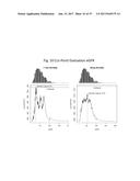 Multimarker Risk Stratification diagram and image