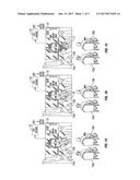 METHOD AND APPARATUS FOR REAL-TIME VIEWER INTERACTION WITH A MEDIA     PRESENTATION diagram and image