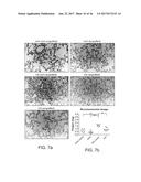 GENETICALLY MODIFIED MICE AND ENGRAFTMENT diagram and image