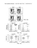 GENETICALLY MODIFIED MICE AND ENGRAFTMENT diagram and image