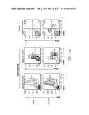 GENETICALLY MODIFIED MICE AND ENGRAFTMENT diagram and image