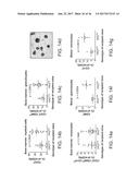 GENETICALLY MODIFIED MICE AND ENGRAFTMENT diagram and image