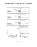 SYSTEM AND METHODS FOR QUANTITATIVELY DESCRIBING BIOPHYSICAL MARKERS diagram and image