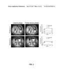 SYSTEM AND METHODS FOR QUANTITATIVELY DESCRIBING BIOPHYSICAL MARKERS diagram and image