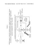 ACTIVATION OF THE ENDOGENOUS ILEAL BRAKE HORMONE PATHWAY FOR ORGAN     REGENERATION AND RELATED COMPOSITIONS, METHODS OF TREATMENT, DIAGNOSTICS,     AND REGULATORY SYSTEMS diagram and image