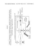 ACTIVATION OF THE ENDOGENOUS ILEAL BRAKE HORMONE PATHWAY FOR ORGAN     REGENERATION AND RELATED COMPOSITIONS, METHODS OF TREATMENT, DIAGNOSTICS,     AND REGULATORY SYSTEMS diagram and image