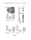 METHODS OF ADMINISTERING LMWH diagram and image