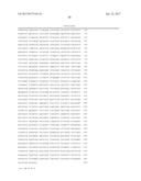 HUMAN ROTAVIRUS VACCINE STRAINS AND DIAGNOSTICS diagram and image