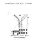SITE-SPECIFIC ANTIBODY-DRUG GLYCOCONJUGATES AND METHODS diagram and image